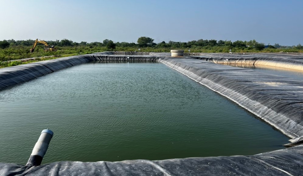 File don khach Hatchery Updated July 21 2022