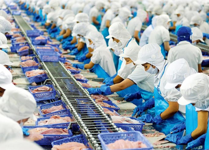 Vietnam Pangasius participate in worldwide aquaculture growth