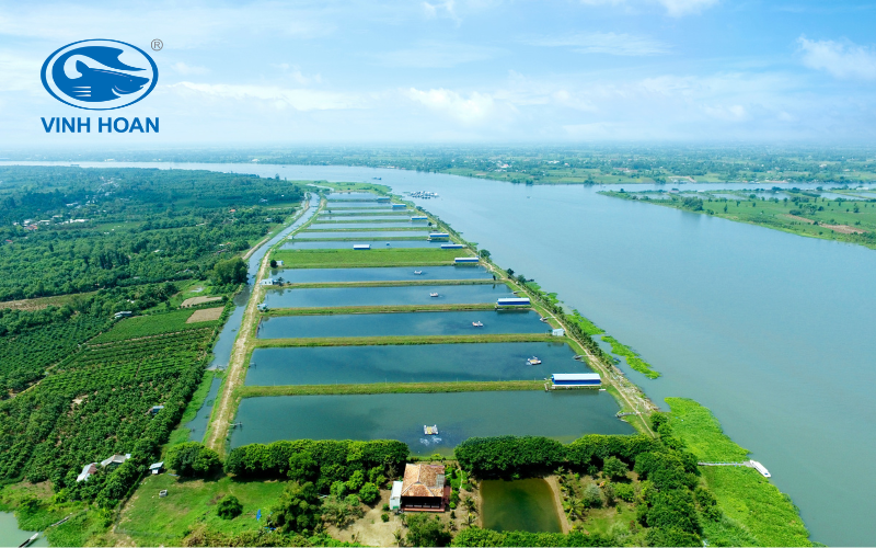 Sustainable Aquaculture Excellence: Vinh Hoan at the Forefront 1 sustainable aquaculture