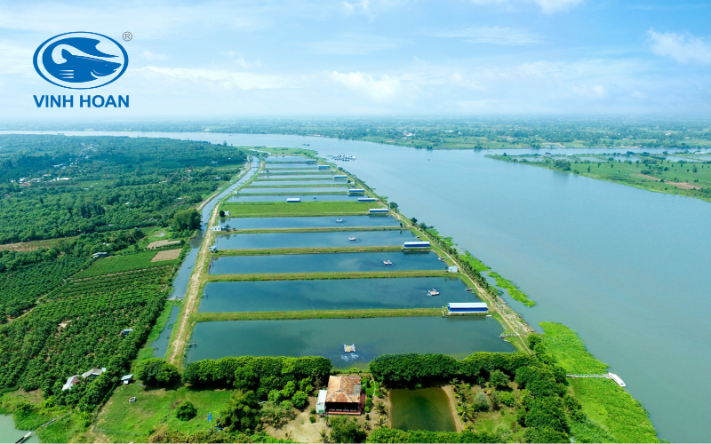 sustainable aquaculture