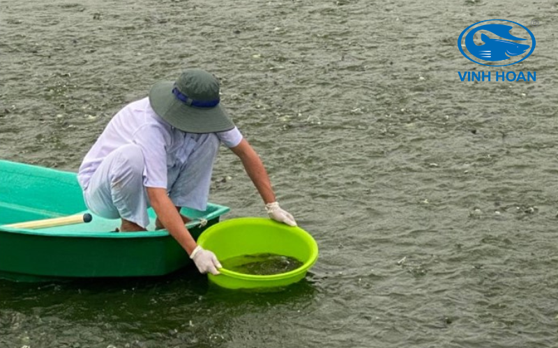 Sustainable Aquaculture Excellence: Vinh Hoan at the Forefront 3 sustainable aquaculture