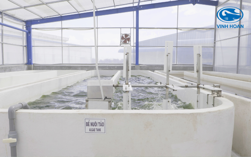 Sustainable Aquaculture Excellence: Vinh Hoan at the Forefront 2 sustainable aquaculture