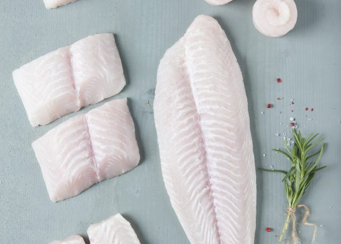 41 [All in Fillets] 2901 1 HIGH