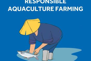 VF June Blog Responsible Aquaculture Farming